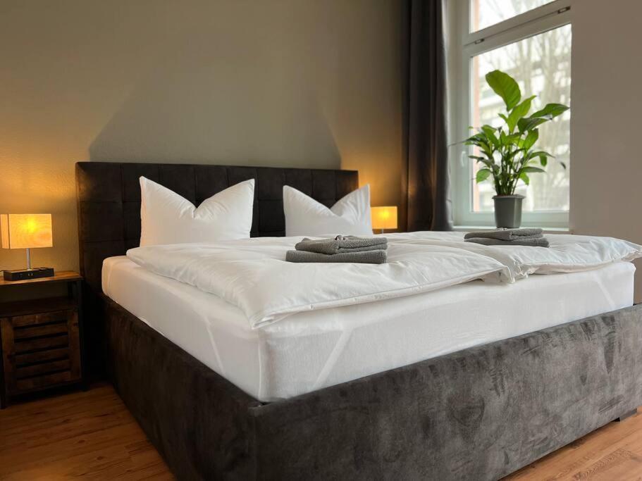 Akk6 Designpartment Naehe Hbf Uni Oper Daire Magdeburg Dış mekan fotoğraf